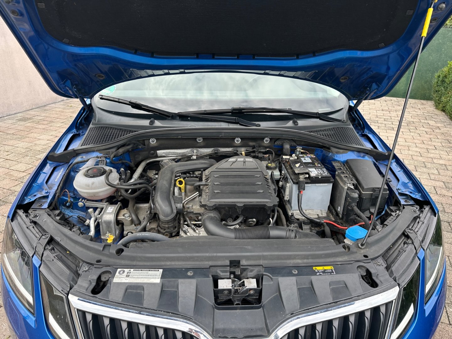 Škoda Octavia – fotografie 48