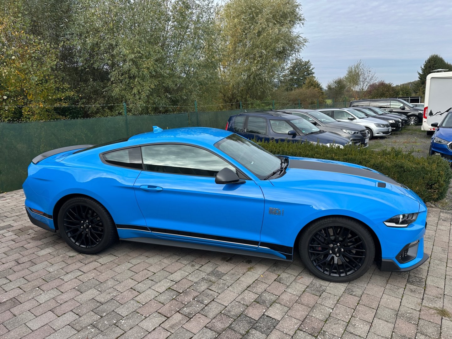 Ford Mustang – fotografie 11