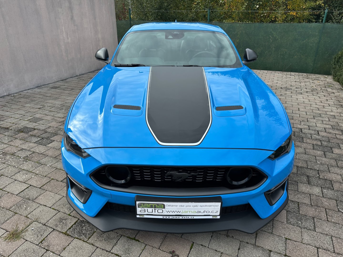 Ford Mustang – fotografie 15