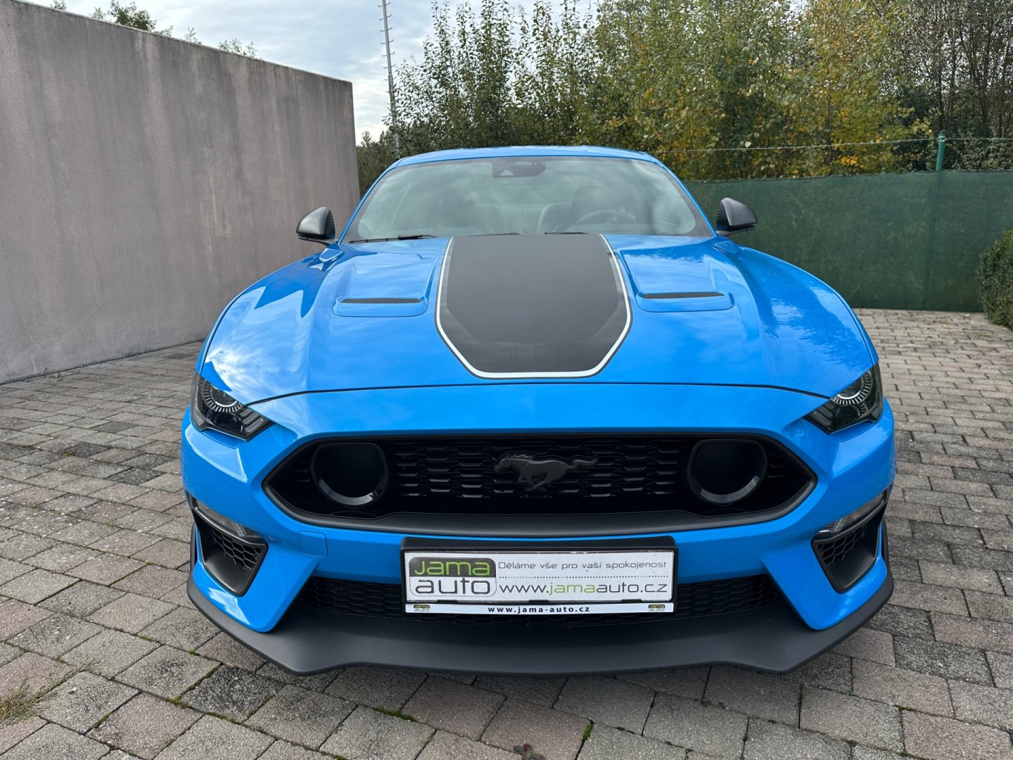 Ford Mustang – fotografie 16