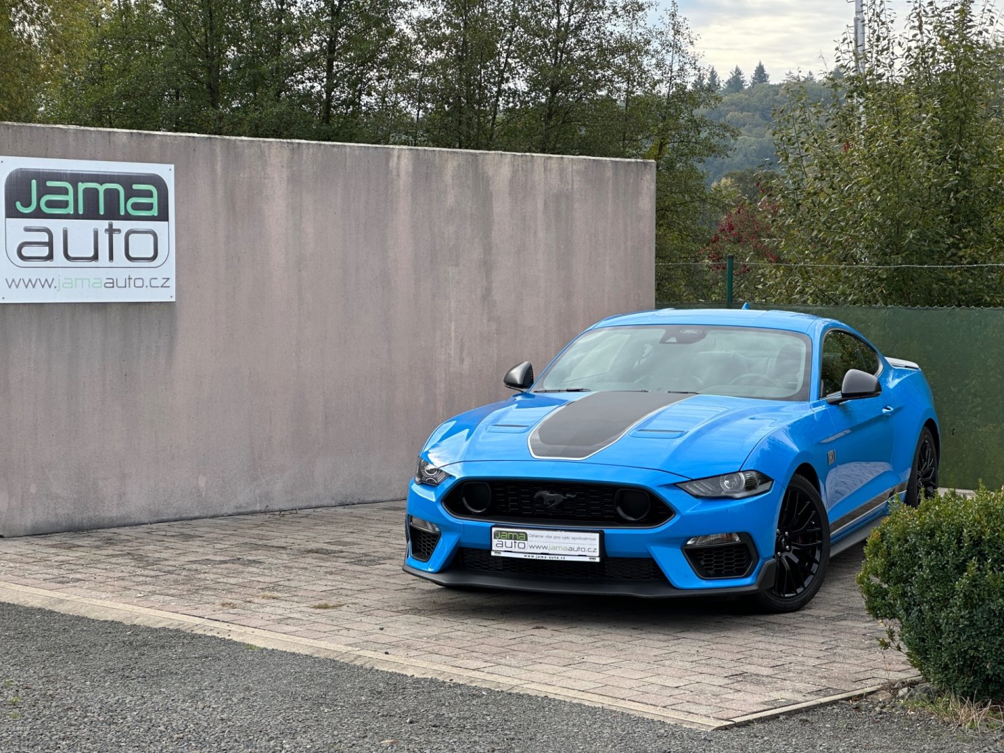 Ford Mustang – fotografie 18