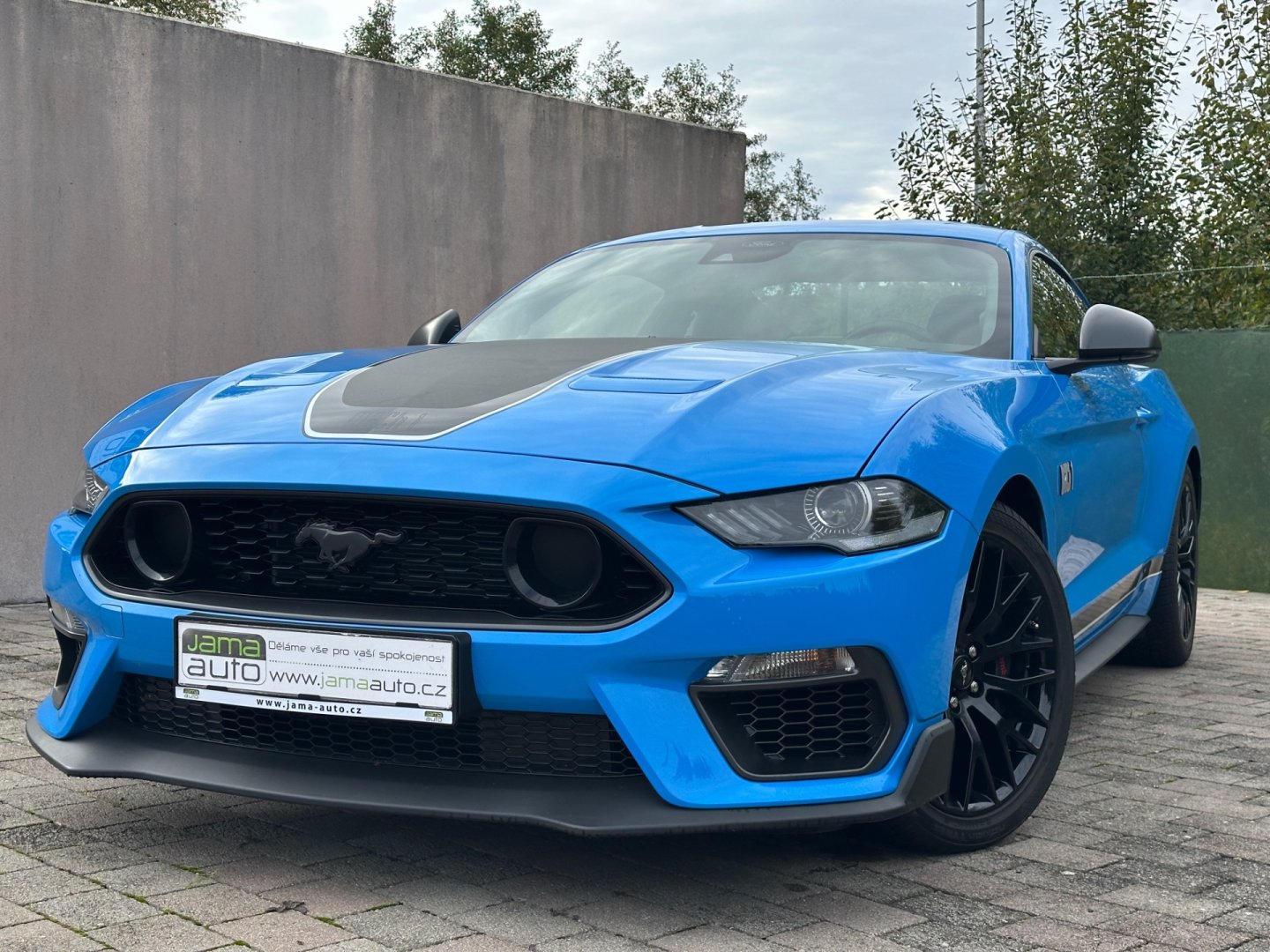 Ford Mustang – fotografie 19