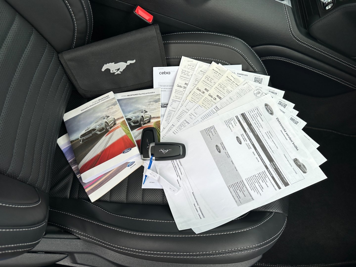 Ford Mustang – fotografie 40