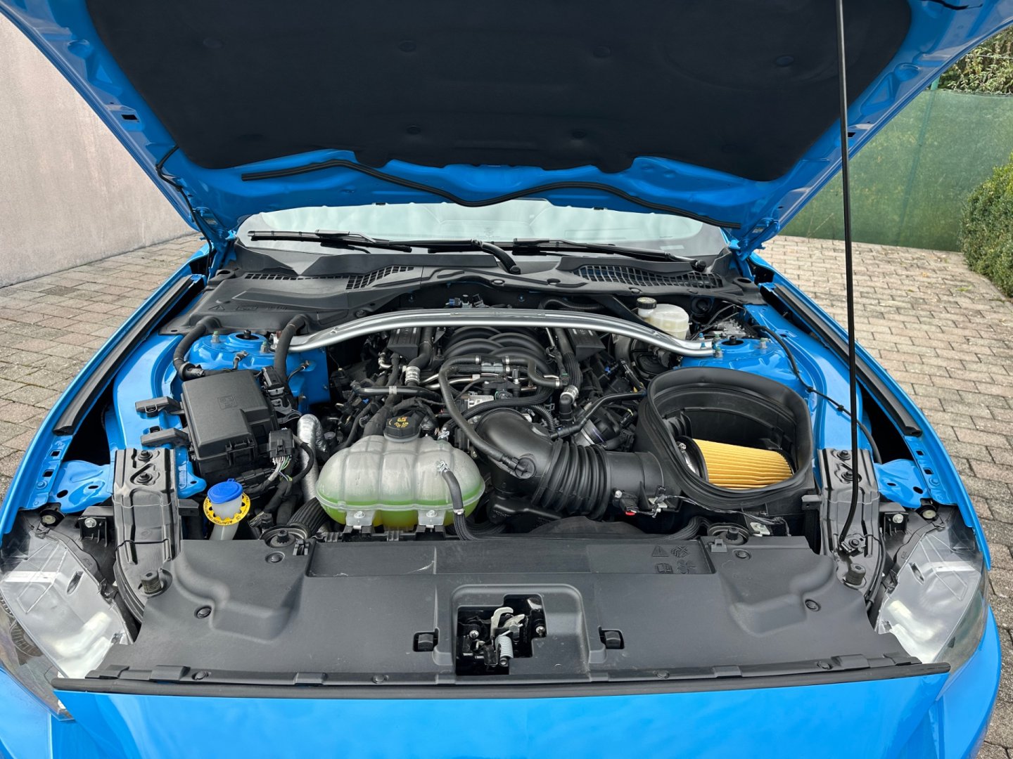 Ford Mustang – fotografie 45