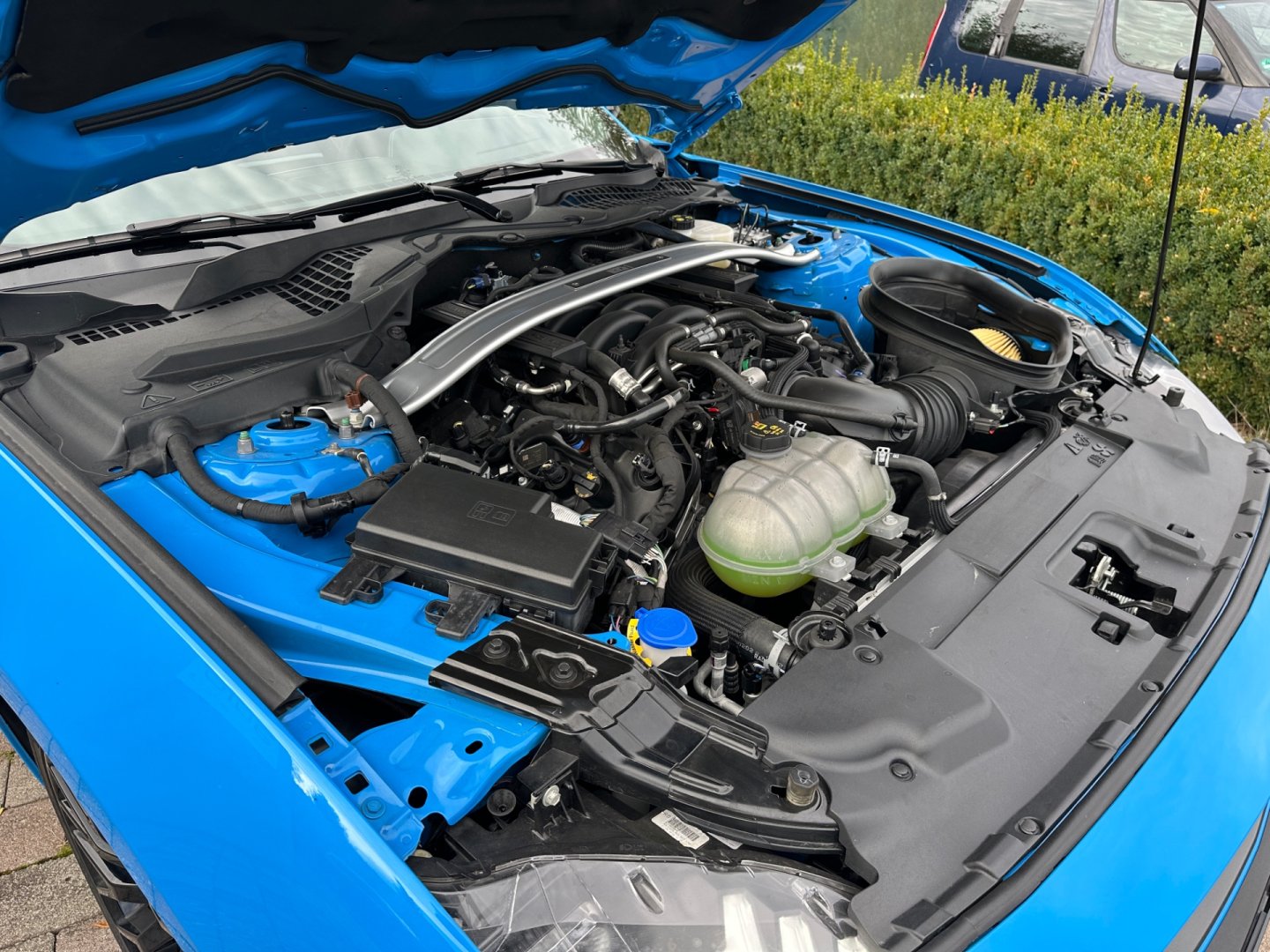 Ford Mustang – fotografie 46