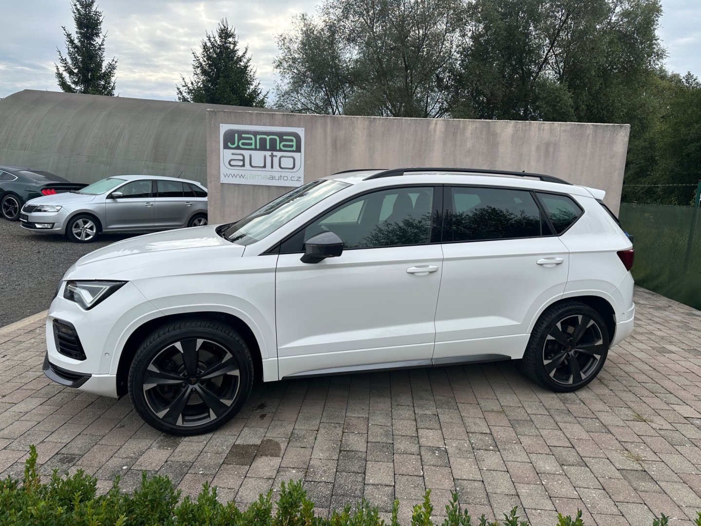 Cupra Ateca – fotografie 3