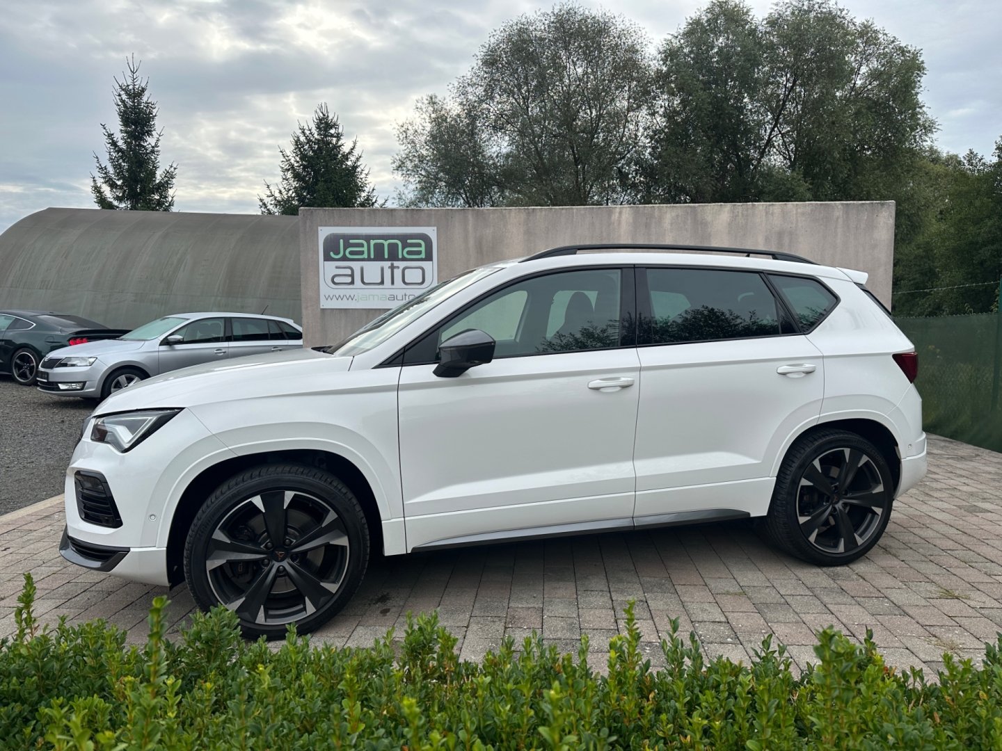 Cupra Ateca – fotografie 4