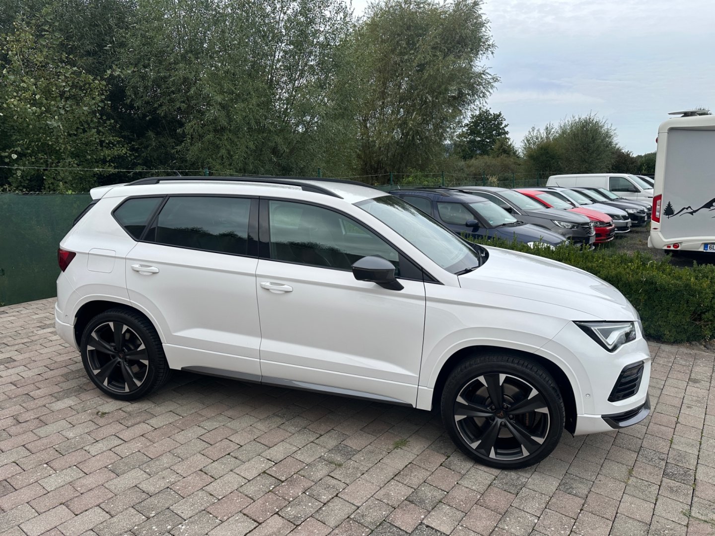 Cupra Ateca – fotografie 11