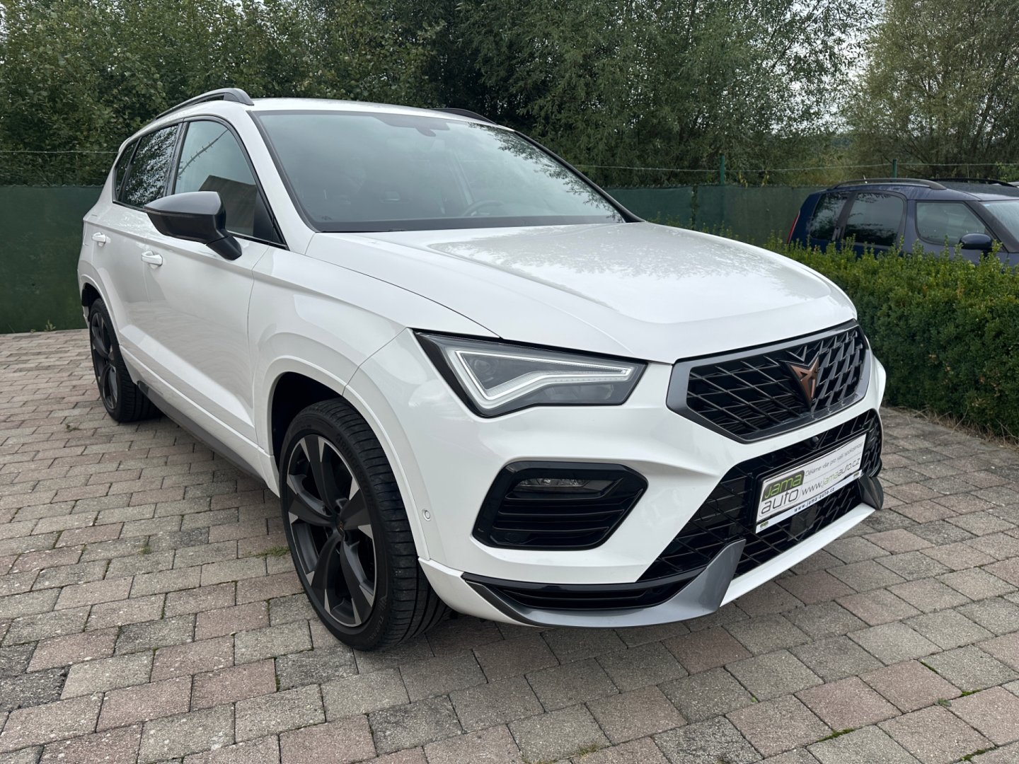 Cupra Ateca – fotografie 14