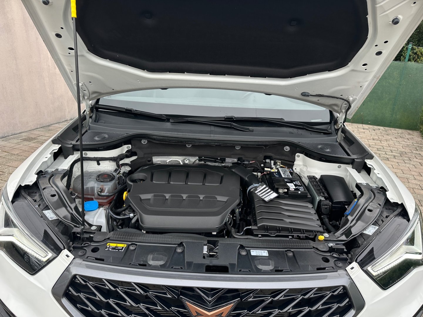 Cupra Ateca – fotografie 46